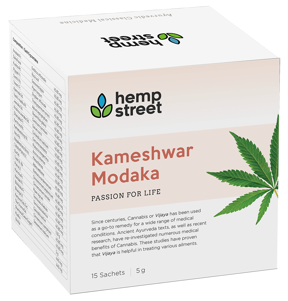 Kameshwar Modaka