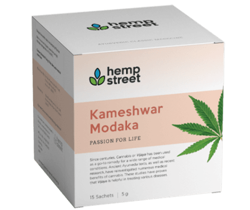 Kameshwar Modaka
